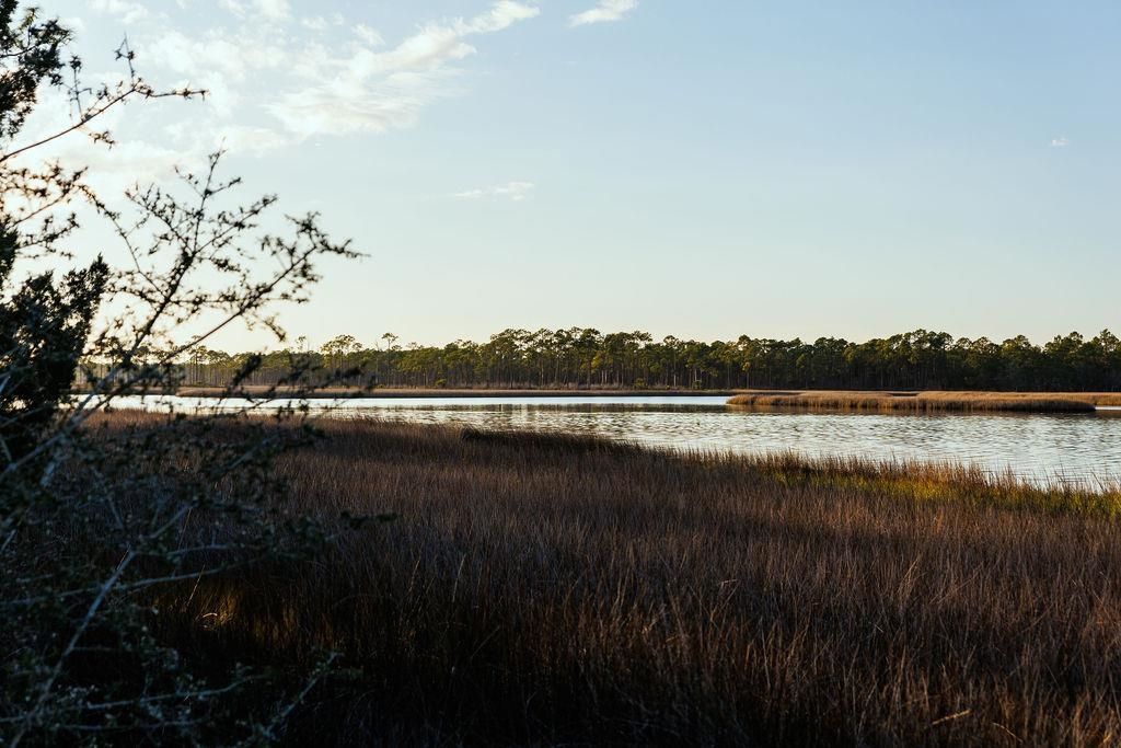 588 River Road, Carrabelle, FL 32322 Photo