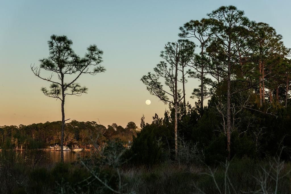 588 River Road, Carrabelle, FL 32322 Photo