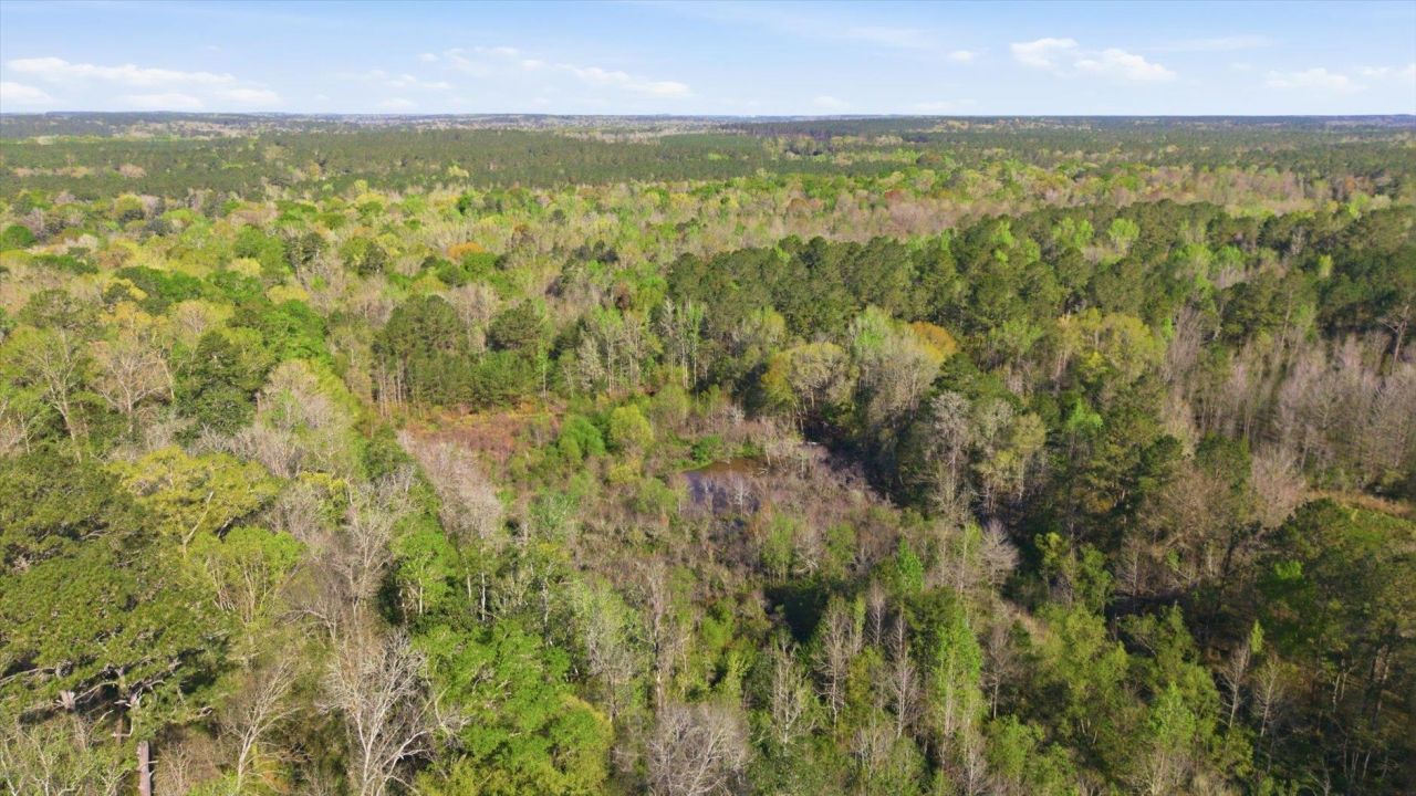 Salem Road, Havana, FL 32333 Photo