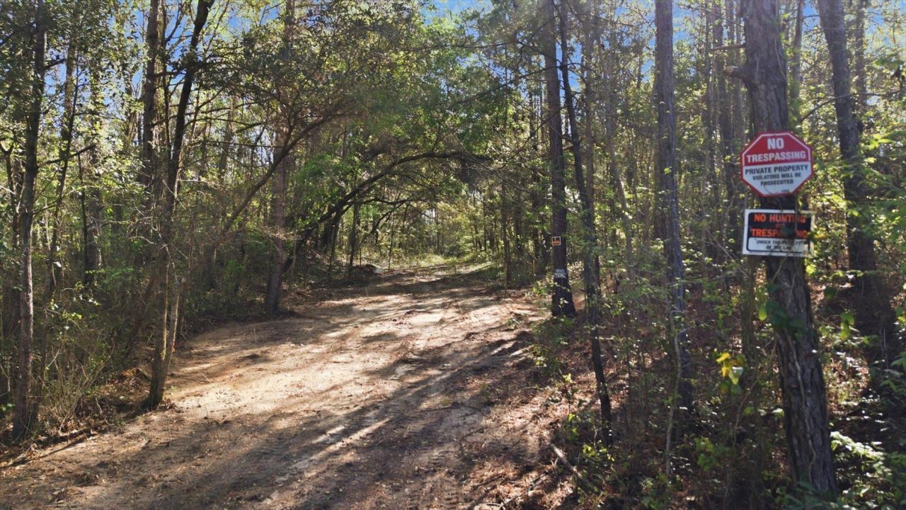 Salem Road, Havana, FL 32333 Photo