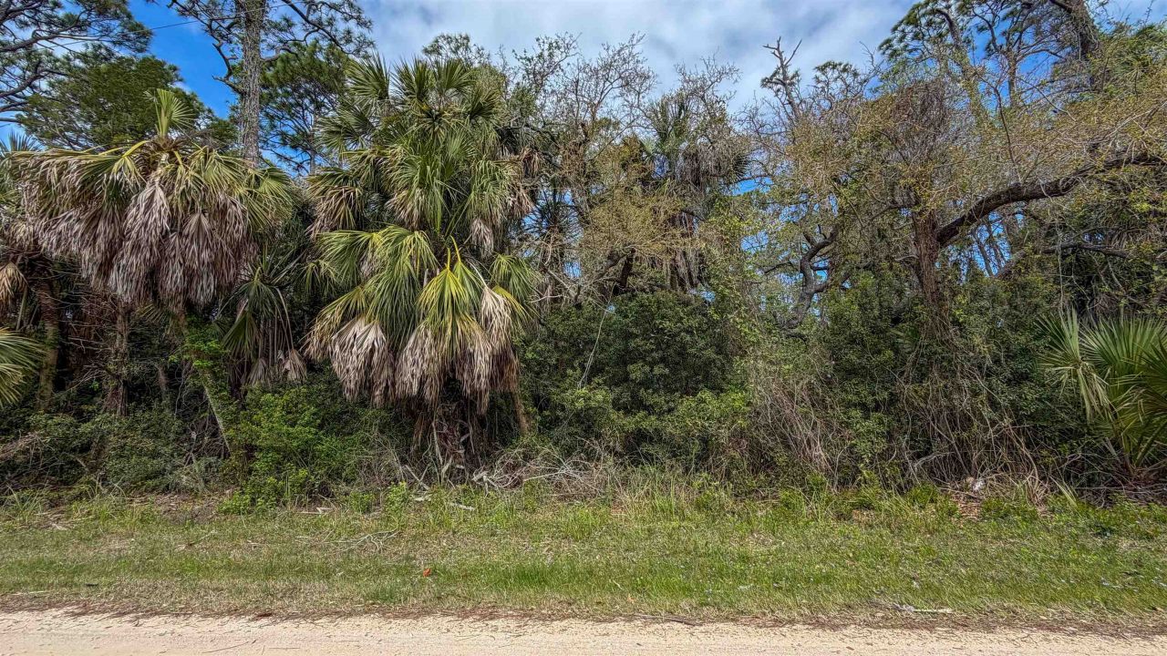 681 E Pine Avenue , Saint George Island, FL 32328 Photo