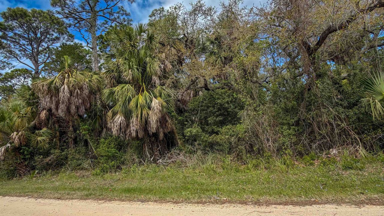 681 E Pine Avenue , Saint George Island, FL 32328 Photo