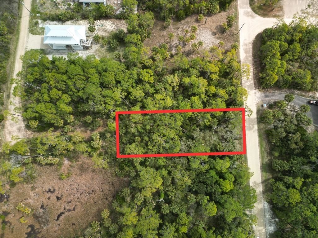 681 E Pine Avenue , Saint George Island, FL 32328 Photo