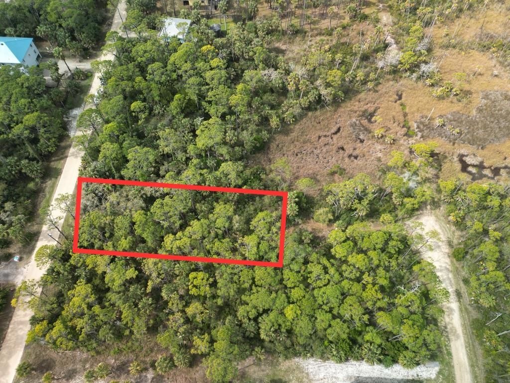 681 E Pine Avenue , Saint George Island, FL 32328 Photo