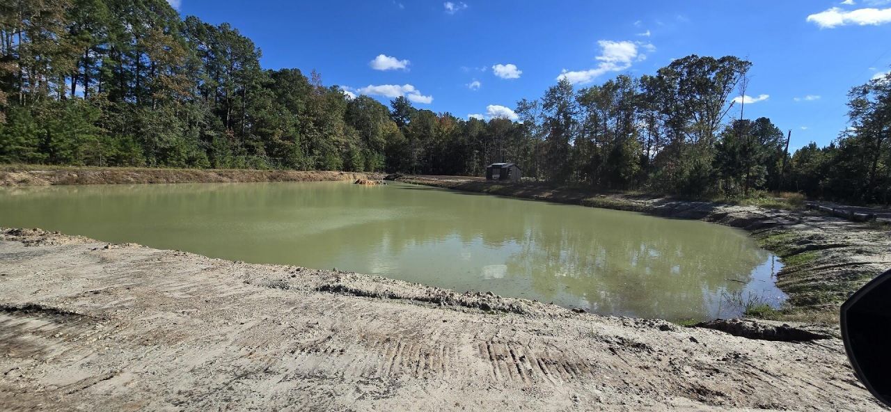 297 Tiger Lily Lane Photo 20