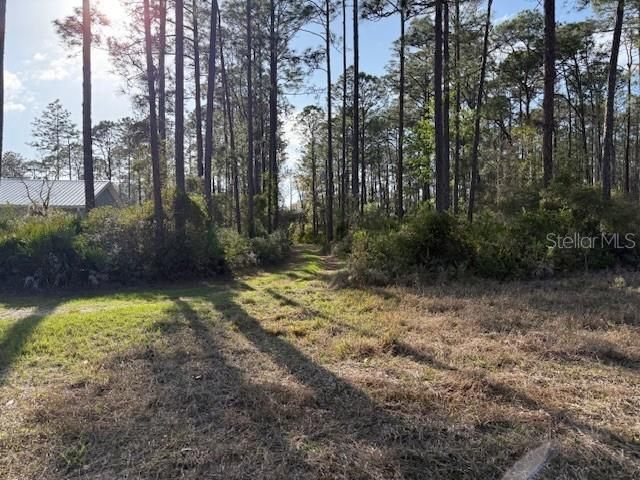 Tbd Us 19, Inglis, FL 34449 Photo