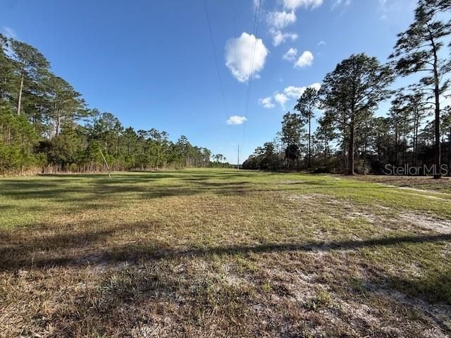 Tbd Us 19, Inglis, FL 34449 Photo