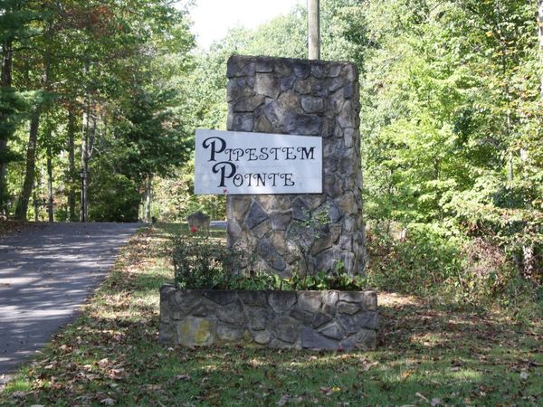 Lots 30, 31 & 32 Linkwood Lane, Pipestem, WV 25979