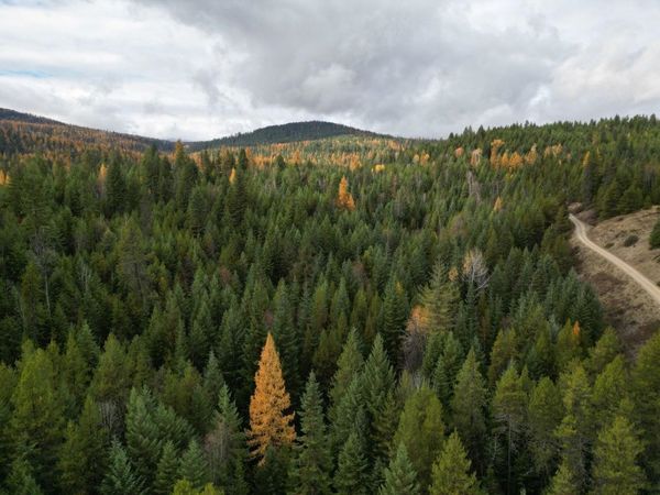 TBD Schlegel Ranch Rd, Ione, WA 99139