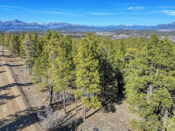 46 S Squaw Canyon Place, Pagosa Springs, CO 81147