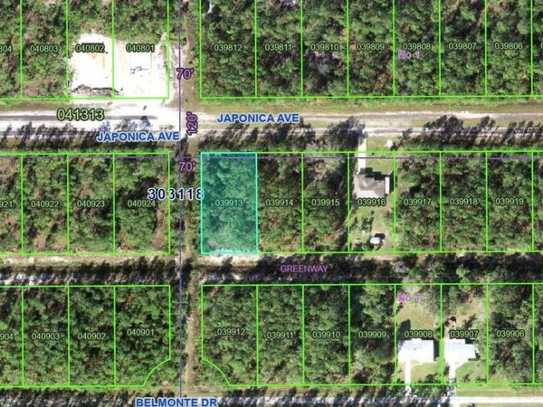 623 JAPONICA AVENUE , INDIAN LAKE ESTATES, FL 33855
