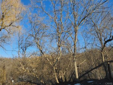 207 Worden Avenue, Nedrow, NY 13120