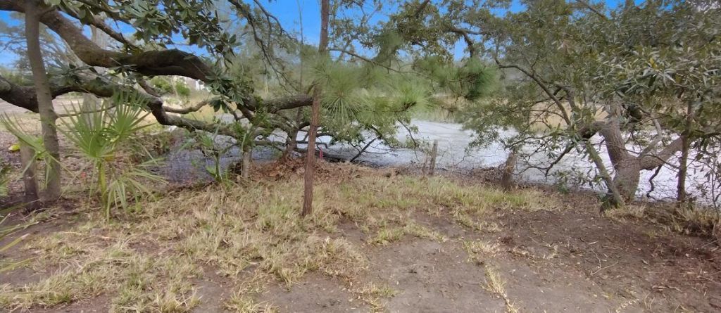 146 Chadwick Drive Photo 18