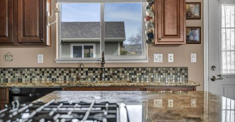 2785 Gordon Avenue, Minden, NV 89423 Photo