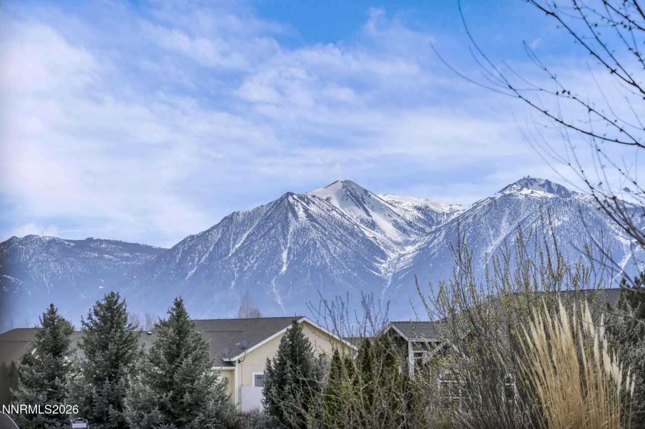 2785 Gordon Avenue, Minden, NV 89423 Photo