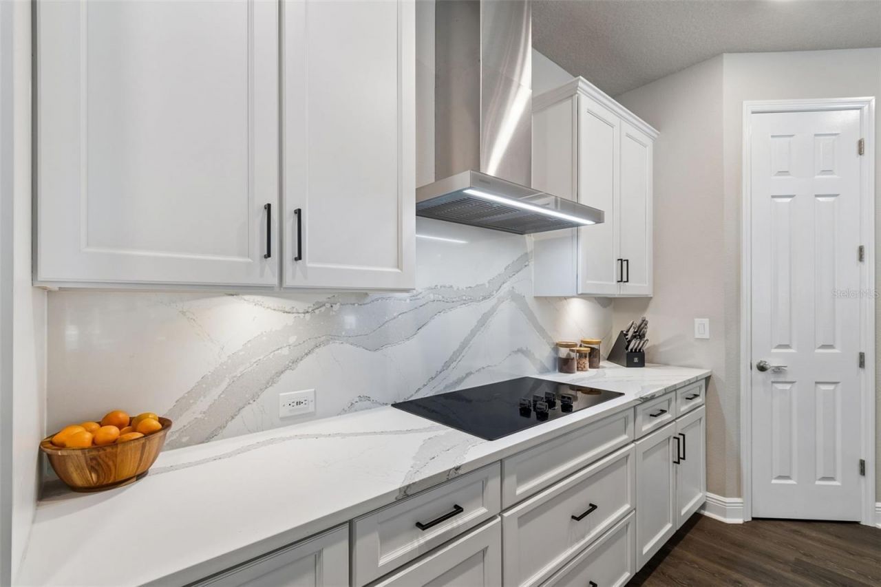 4911 Lakeshore Oaks Court, Tampa, FL 33624 Photo