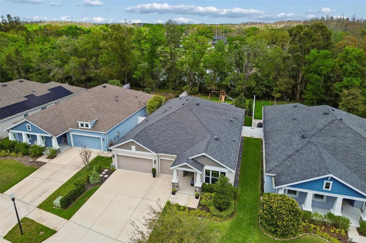 4911 Lakeshore Oaks Court, Tampa, FL 33624 Photo