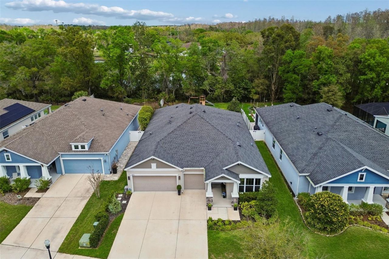 4911 Lakeshore Oaks Court, Tampa, FL 33624 Photo