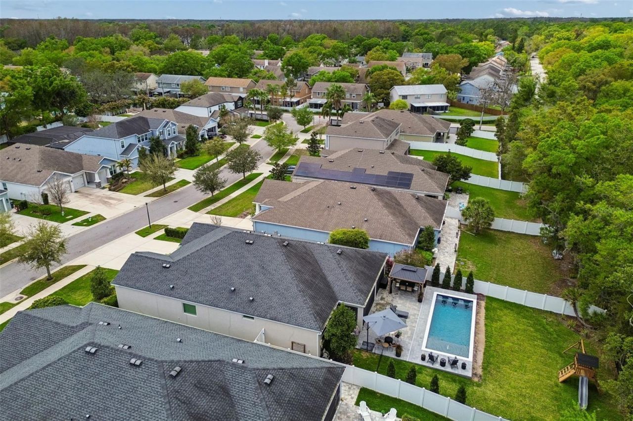 4911 Lakeshore Oaks Court, Tampa, FL 33624 Photo