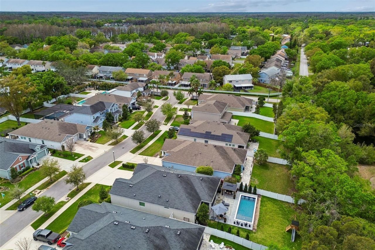 4911 Lakeshore Oaks Court, Tampa, FL 33624 Photo