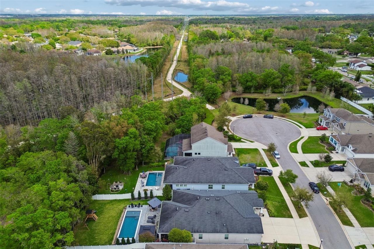 4911 Lakeshore Oaks Court, Tampa, FL 33624 Photo