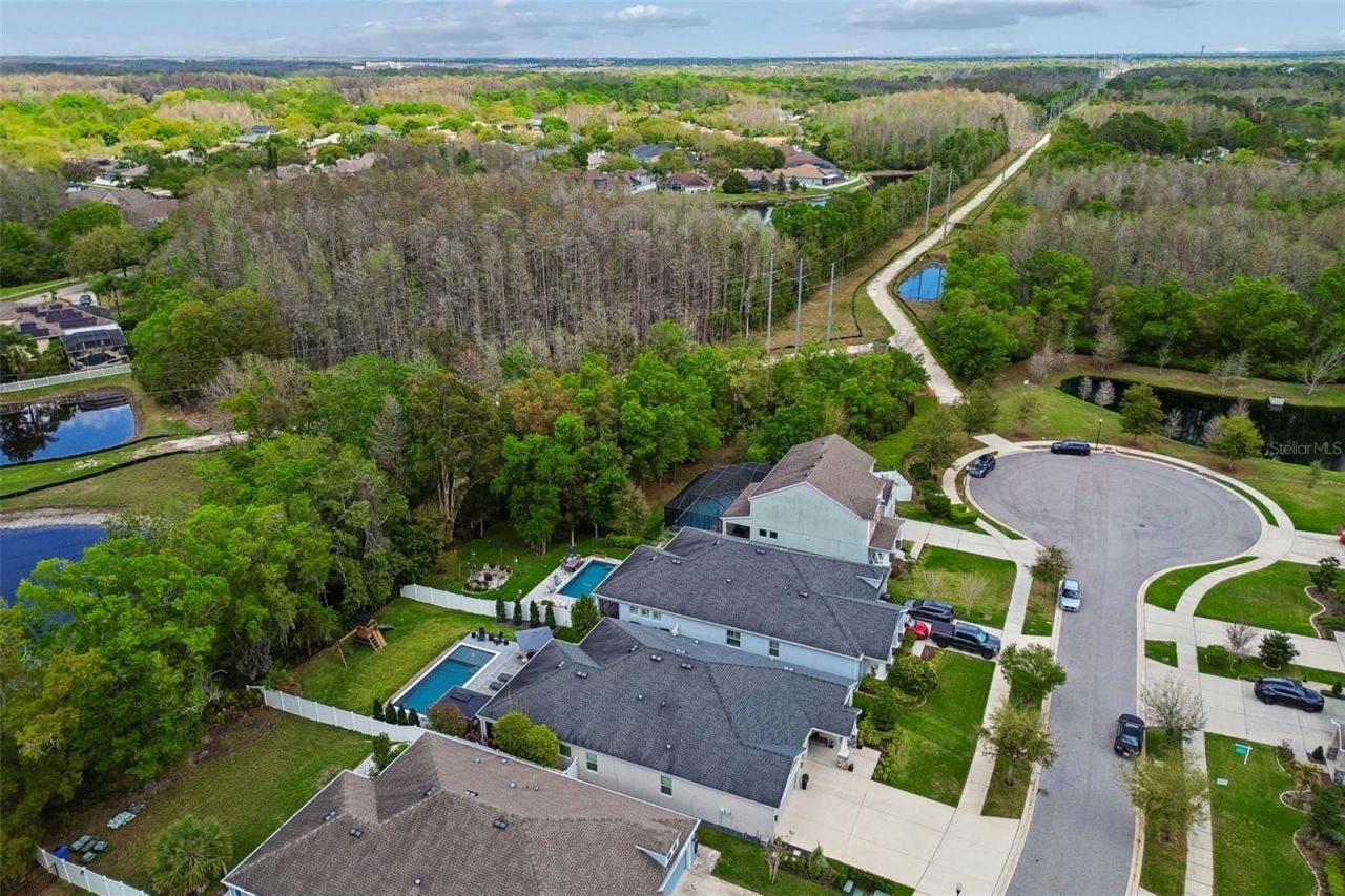 4911 Lakeshore Oaks Court, Tampa, FL 33624 Photo