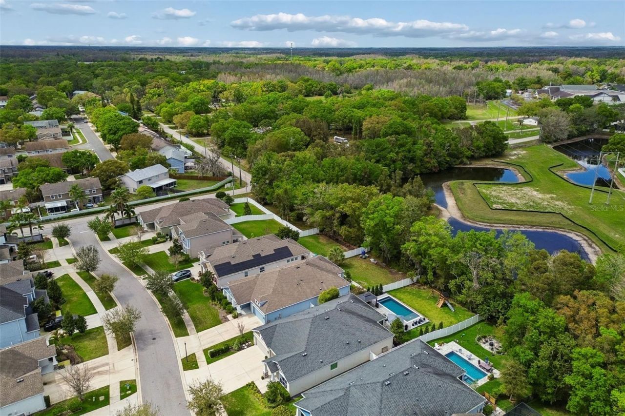 4911 Lakeshore Oaks Court, Tampa, FL 33624 Photo