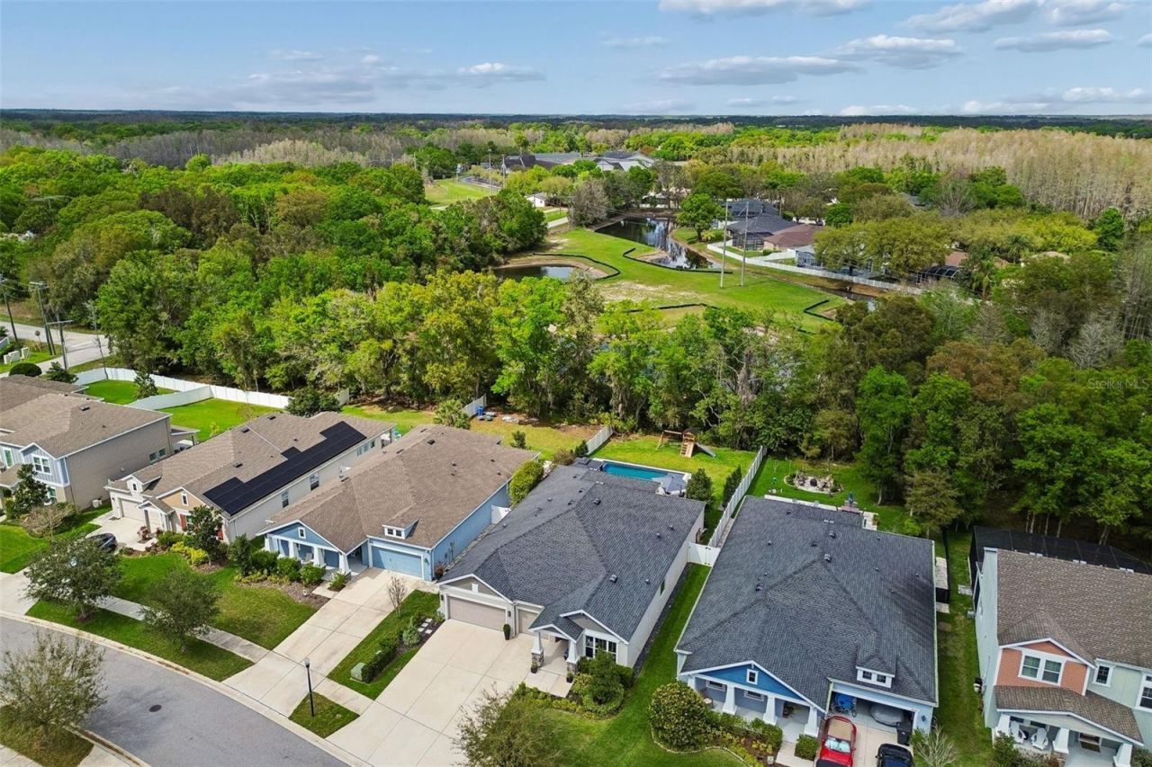 4911 Lakeshore Oaks Court, Tampa, FL 33624 Photo