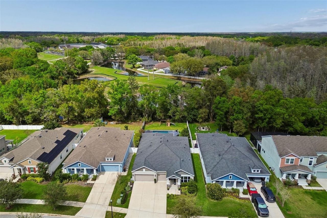 4911 Lakeshore Oaks Court, Tampa, FL 33624 Photo