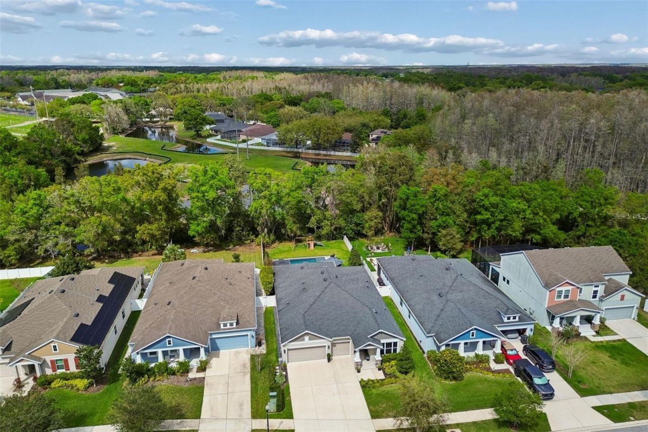 4911 Lakeshore Oaks Court, Tampa, FL 33624 Photo