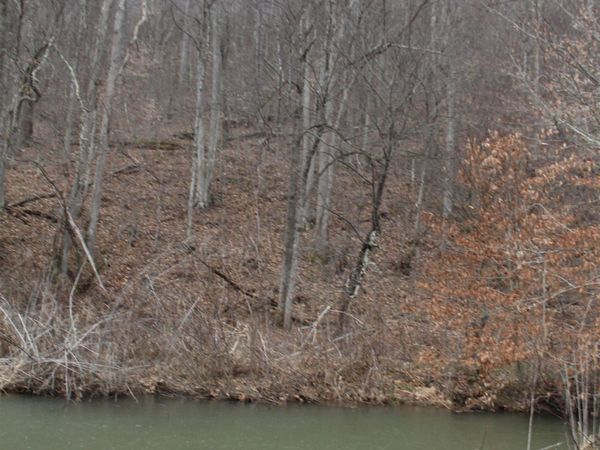 1155 Price Run Road, Webster Springs, WV 26288