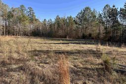 495 Shivers Green Road  photo 4