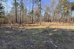 495 Shivers Green Road  photo 4