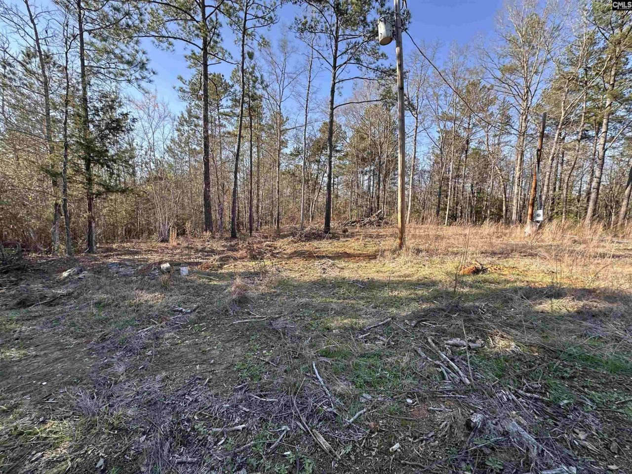 495 Shivers Green Road  Photo 4