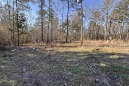 495 Shivers Green Road  photo 4