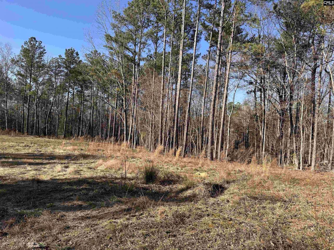 495 Shivers Green Road  Photo 5