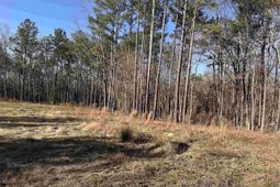 495 Shivers Green Road  photo 4