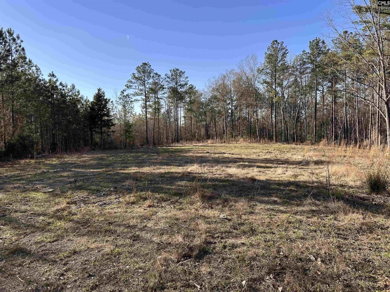 495 Shivers Green Road  Photo 7