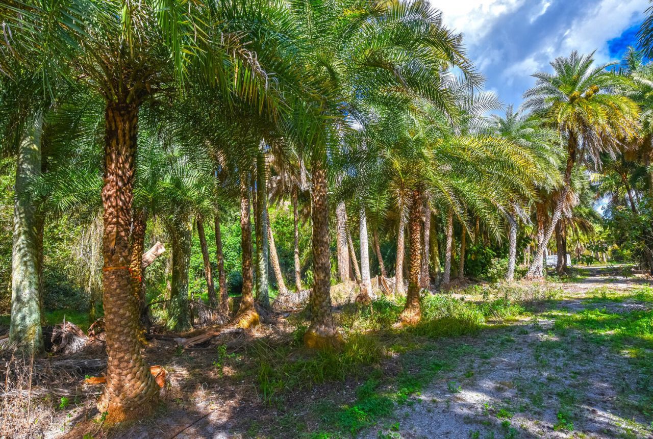 14344 N Road, Loxahatchee Groves, FL 33470 Photo