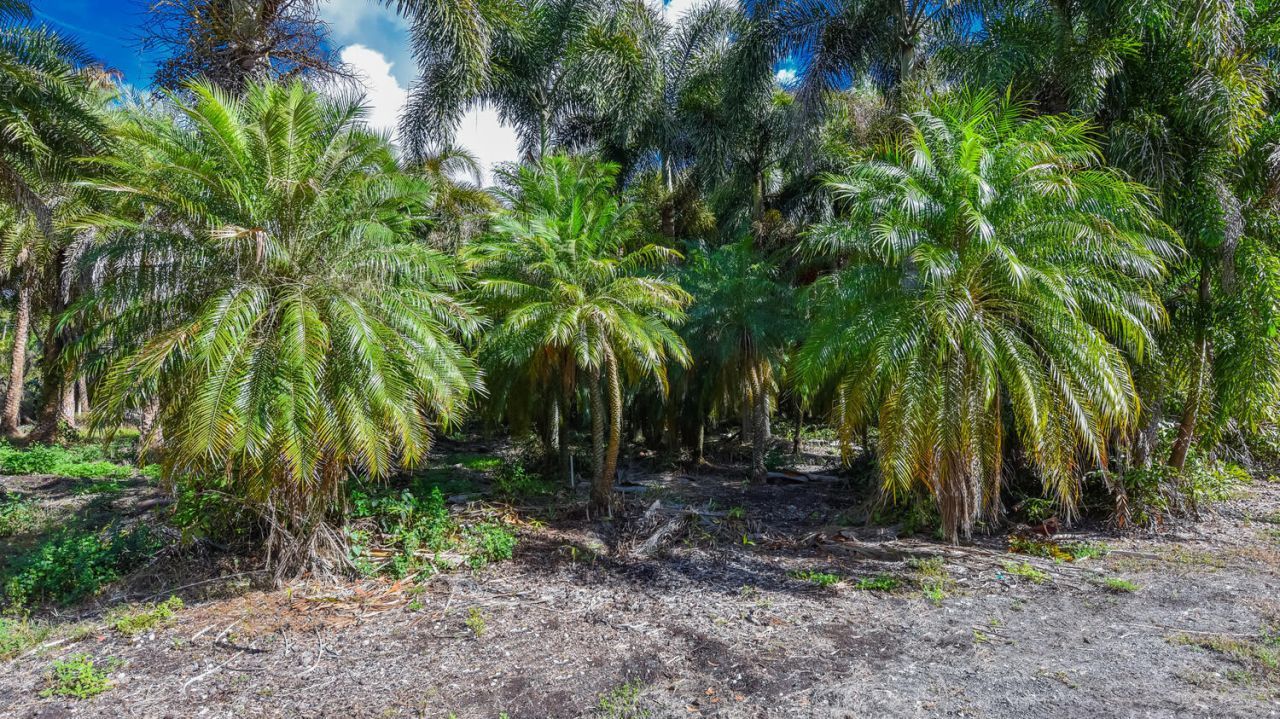 14344 N Road, Loxahatchee Groves, FL 33470 Photo