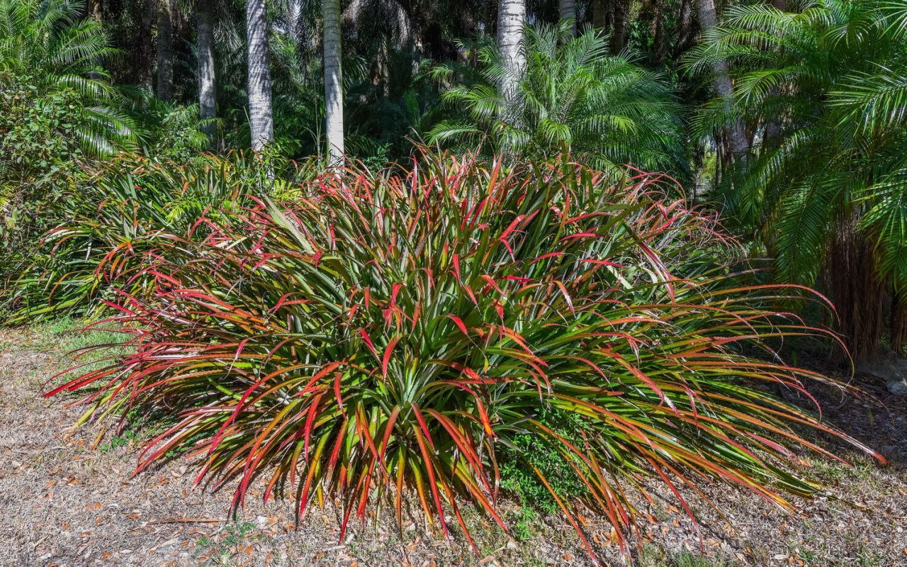 14344 N Road, Loxahatchee Groves, FL 33470 Photo