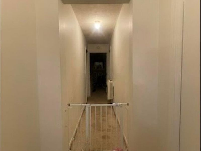 64 Rock Lick Road, Crown City, OH 45623 Photo 16