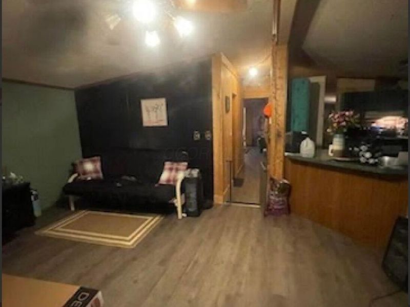 64 Rock Lick Road, Crown City, OH 45623 Photo 9