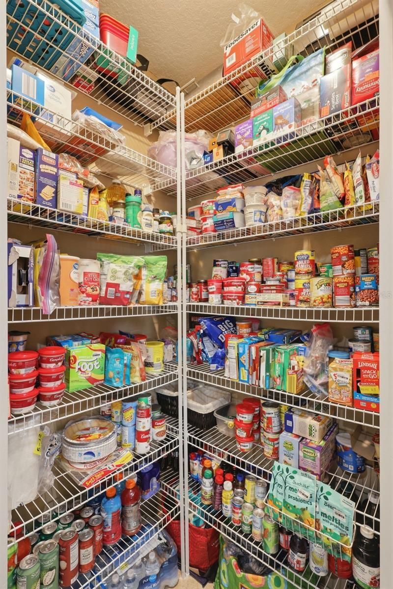 705 Ostrich Fern Lane, Deland, FL 32720 Photo