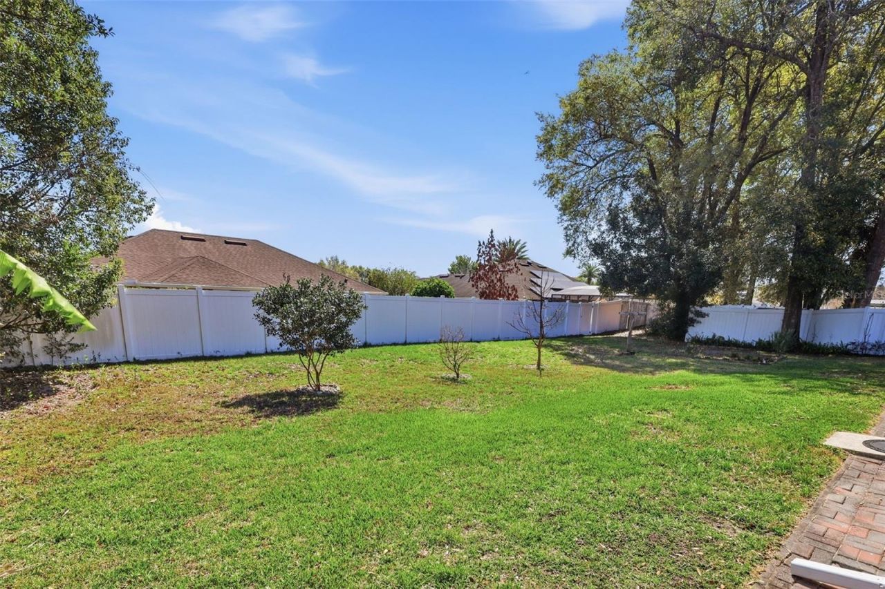 705 Ostrich Fern Lane, Deland, FL 32720 Photo