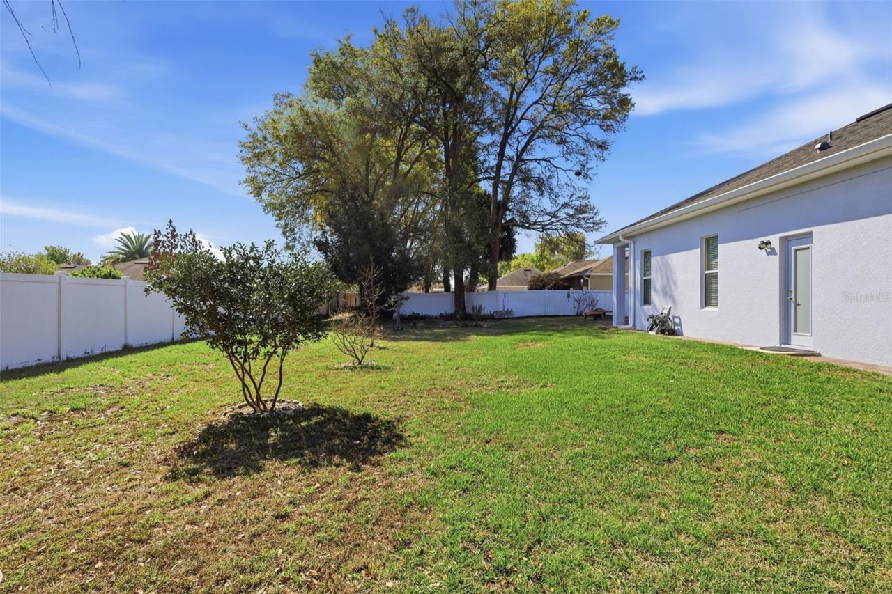 705 Ostrich Fern Lane, Deland, FL 32720 Photo