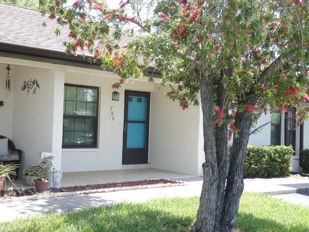 2211 Eisenhower Drive, Unit 106, Dunedin, FL 34698 Photo