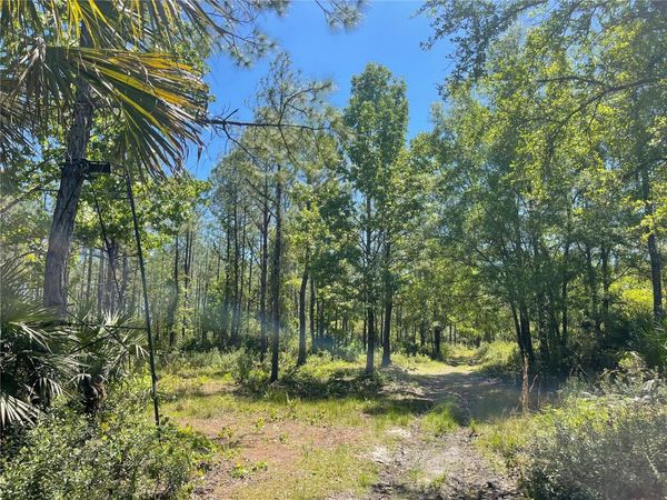 HARRISON ROAD , MIMS, FL 32754