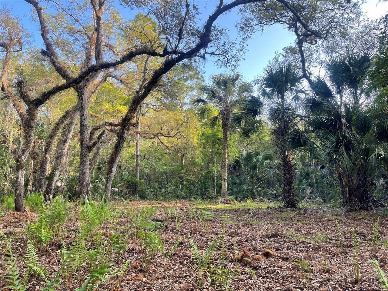 Harrison Road , Mims, FL 32754 Photo