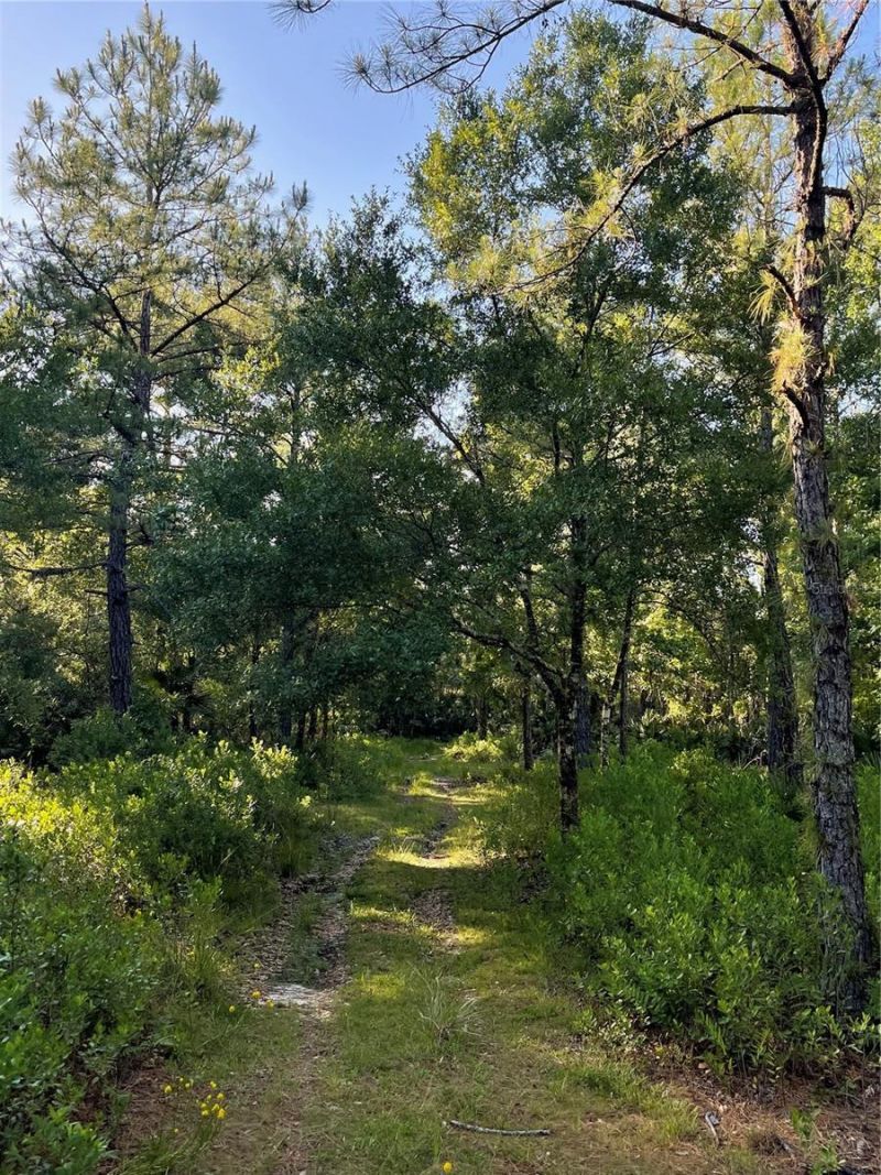 Harrison Road , Mims, FL 32754 Photo